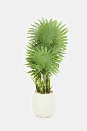 Artificial Plant In Ceramic Pot (86Cm)