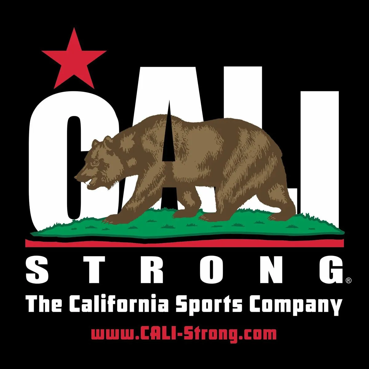 CALI Strong Sticker 4 Pack Series 1B Vinyl Decal Set